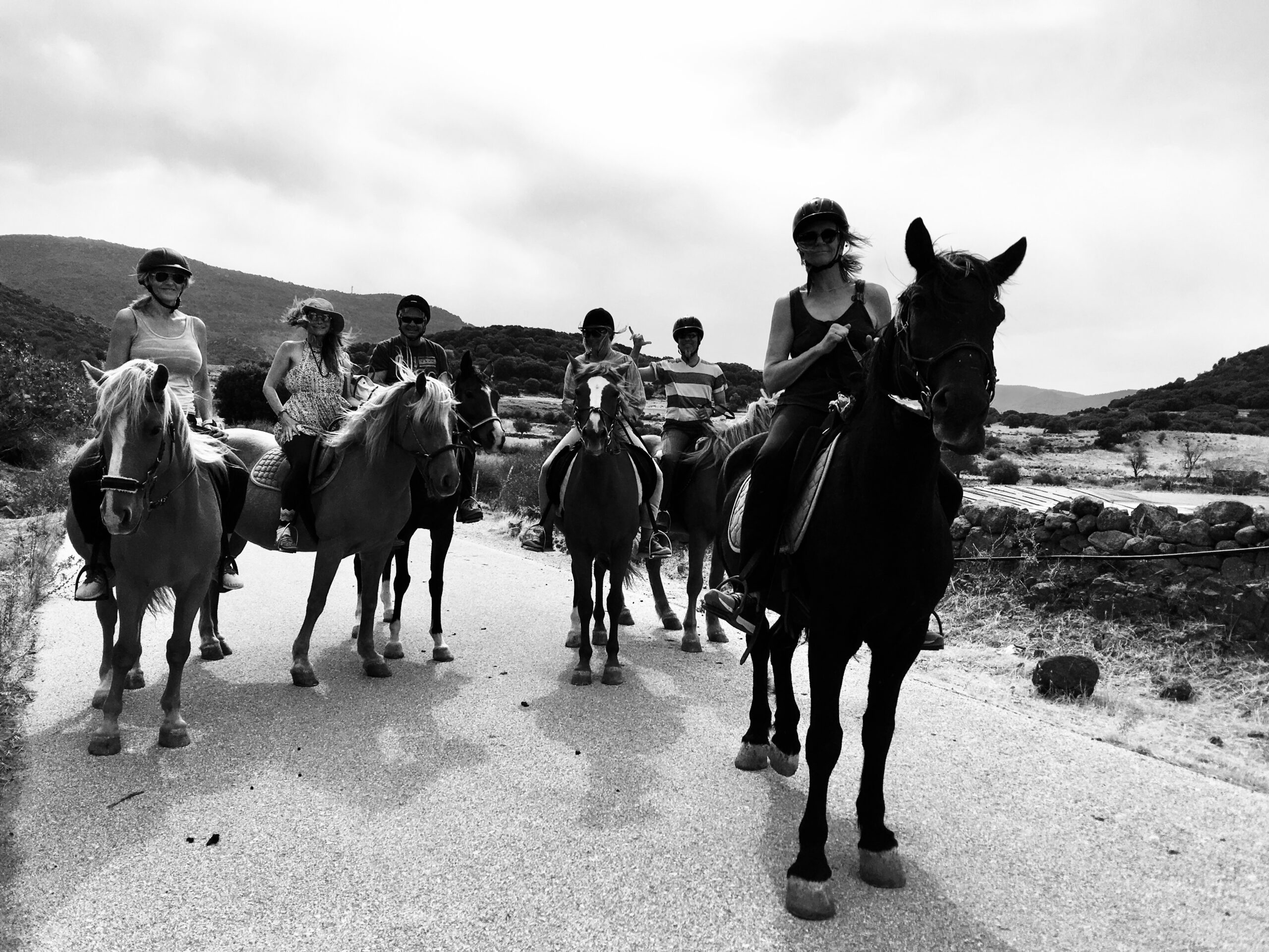 Horse4
