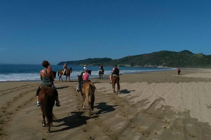 Mexico Playa Larga Casa Playa horseback riding